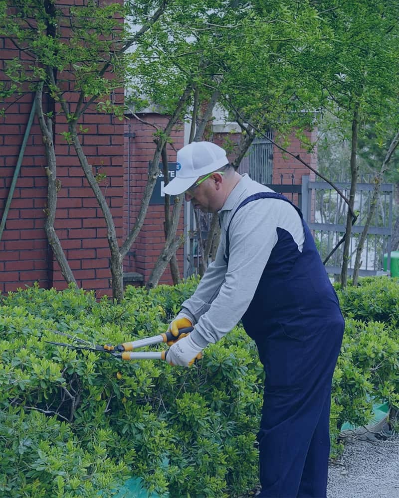 Bahçe Bakımı